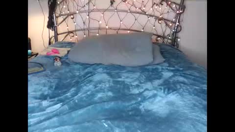 Lauren online show from 4, 11, 2025