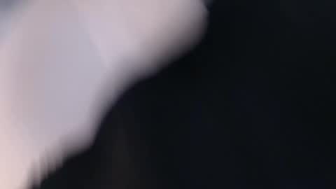 laylacruz online show from 2, 3, 2025