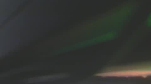 leowolf online show from 8, 12, 2024