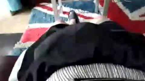 leatherpants68 online show from 17, 7, 2026