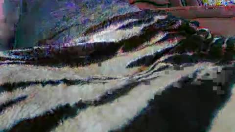 ledmax07 online show from 13, 4, 2026