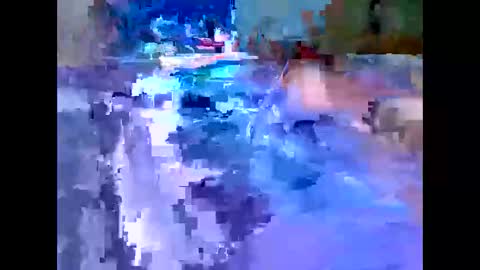 Michael online show from 4, 12, 2025