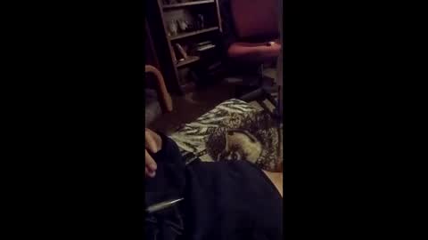 leftyusatisfied online show from 6, 4, 2026