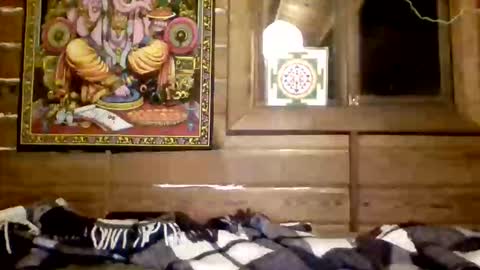 leskator9 online show from 31, 3, 2026