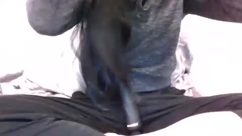 lets_play143 online show from 16, 2, 2026