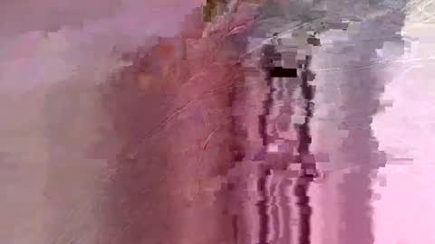 letslookateach online show from 26, 2, 2026