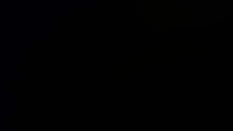 letsplay361 online show from 10, 11, 2025