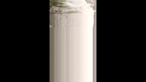 levis501bandant online show from 15, 1, 2026