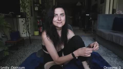 Levity online show from 4, 3, 2026