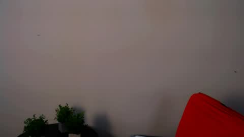 Alexia online show from 15, 5, 2026