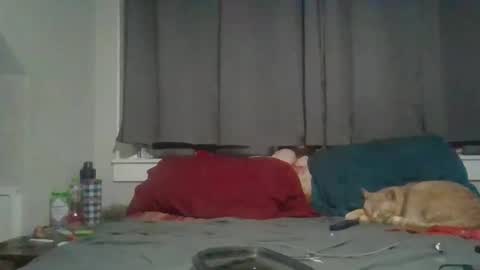 lexijackman online show from 1, 12, 2025