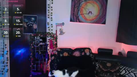 Lexxii online show from 17, 5, 2026