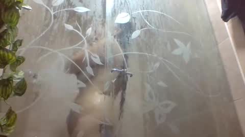 leyla_horny_bg online show from 22, 12, 2025