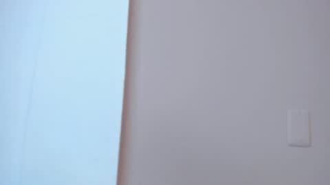 Snapshot of lia_ass chatting on 29, 10, 2025 Liss 3 online show from 29, 10, 2025