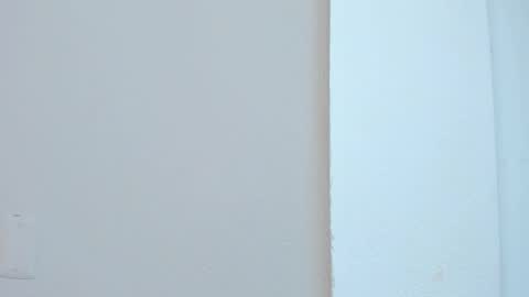 Snapshot of lia_ass chatting on 4, 11, 2025 Liss 3 online show from 4, 11, 2025