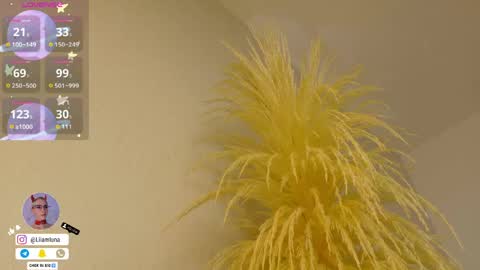 Liiam Luna online show from 15, 4, 2026