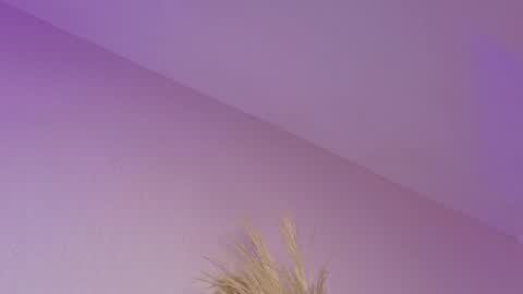 Snapshot of liiamluna chatting on 21, 4, 2026 Liiam Luna online show from 21, 4, 2026