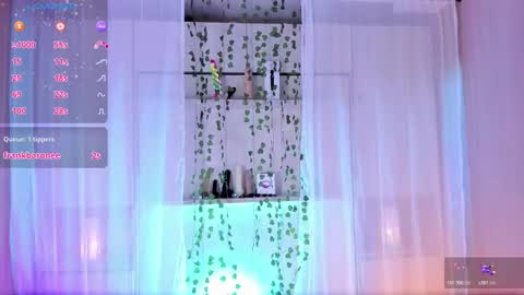         online show from 13, 11, 2025