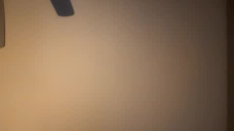 Snapshot of likdatass69247 chatting on 9, 1, 2025 likdatass69247 online show from 9, 1, 2025