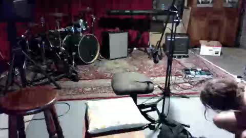 like2dildo online show from 13, 2, 2026