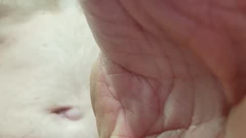 like_fun_ online show from 8, 4, 2026