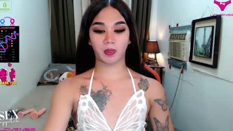 LILY online show from 7, 11, 2025