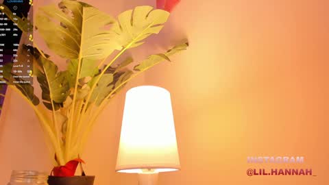 Hanna online show from 23, 12, 2024