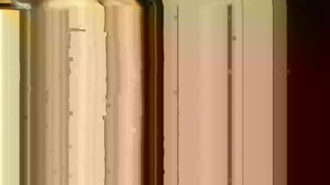 Sasquatch online show from 24, 2, 2026