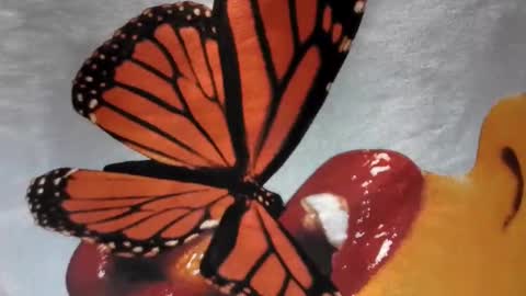 Snapshot of lilvioletxxx chatting on 29, 11, 2025 Little Violet online show from 29, 11, 2025