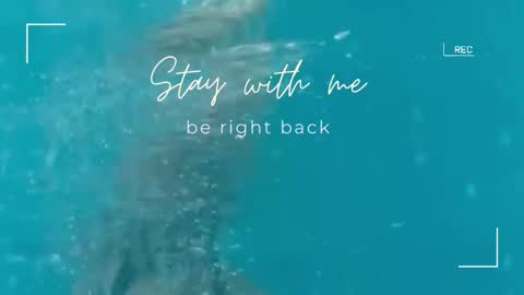 Lily online show from 10, 11, 2025