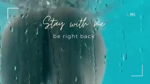 Lily online show from 19, 12, 2025