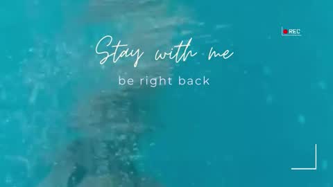 Lily online show from 6, 3, 2026