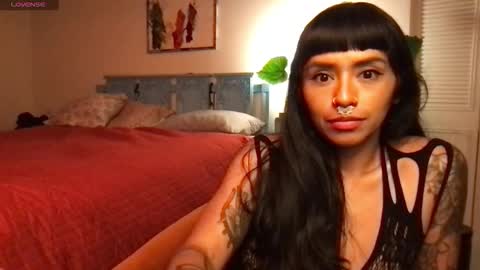 Little Lily online show from 5, 11, 2025