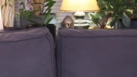 -- My Wishlist  online show from 13, 11, 2025