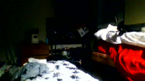 Snapshot of lincolnlongdick chatting on 30, 12, 2024 Richie Rich online show from 30, 12, 2024