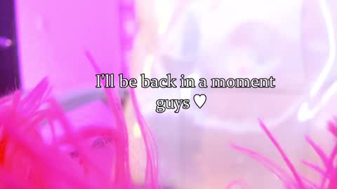 linda miller online show from 24, 1, 2025