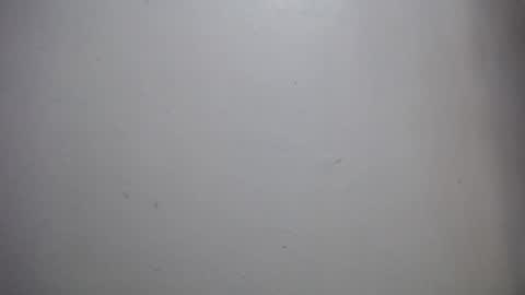 lisa_branch online show from 14, 12, 2025