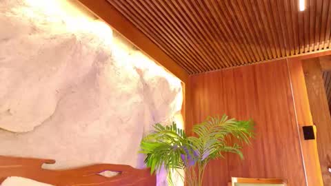 Snapshot of lissafeniix chatting on 3, 3, 2026 Isaa online show from 3, 3, 2026