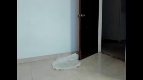 Snapshot of litlle_danni chatting on 9, 12, 2024 Danni online show from 9, 12, 2024