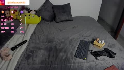 Snapshot of little__ammy chatting on 4, 2, 2026 little__ammy online show from 4, 2, 2026