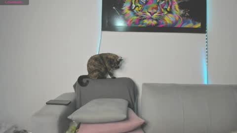 Snapshot of little_caro13 chatting on 11, 3, 2025 Independent model carolina online show from 11, 3, 2025