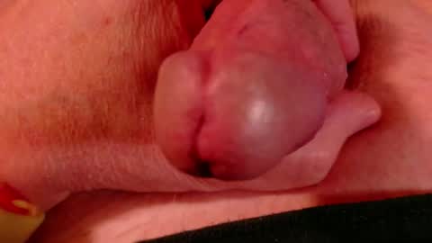 Littlebits online show from 23, 2, 2026