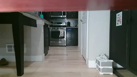 Snapshot of littleclitty247 chatting on 11, 9, 2025 Littlleclitty247 online show from 11, 9, 2025