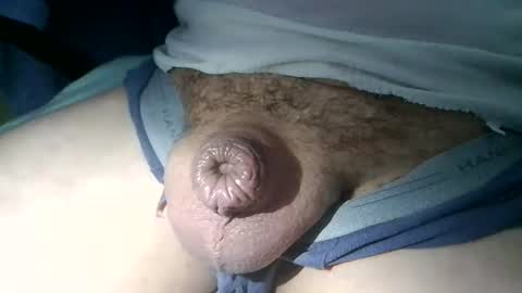 Snapshot of littlepecker1980 chatting on 12, 11, 2025 littlepecker1980 online show from 12, 11, 2025