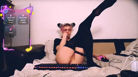 Snapshot of littlepinkcat chatting on 6, 6, 2026 Felix online show from 6, 6, 2026