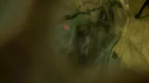 Little Tj online show from 23, 4, 2026