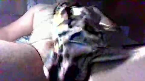 litwinpaweel online show from 28, 10, 2025