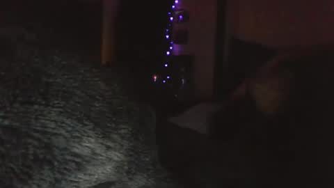 Liv Mirage online show from 14, 4, 2026