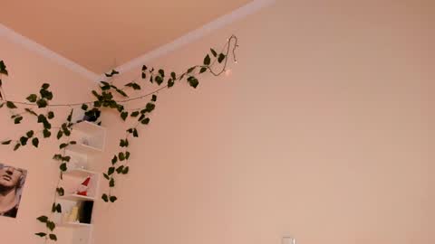 Lixie online show from 20, 1, 2025