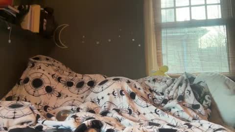 lizzybunny online show from 5, 3, 2025